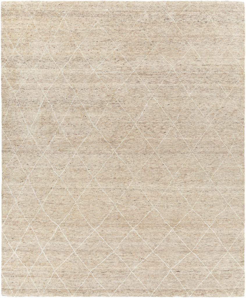 surya zara zar 2303 beige rug