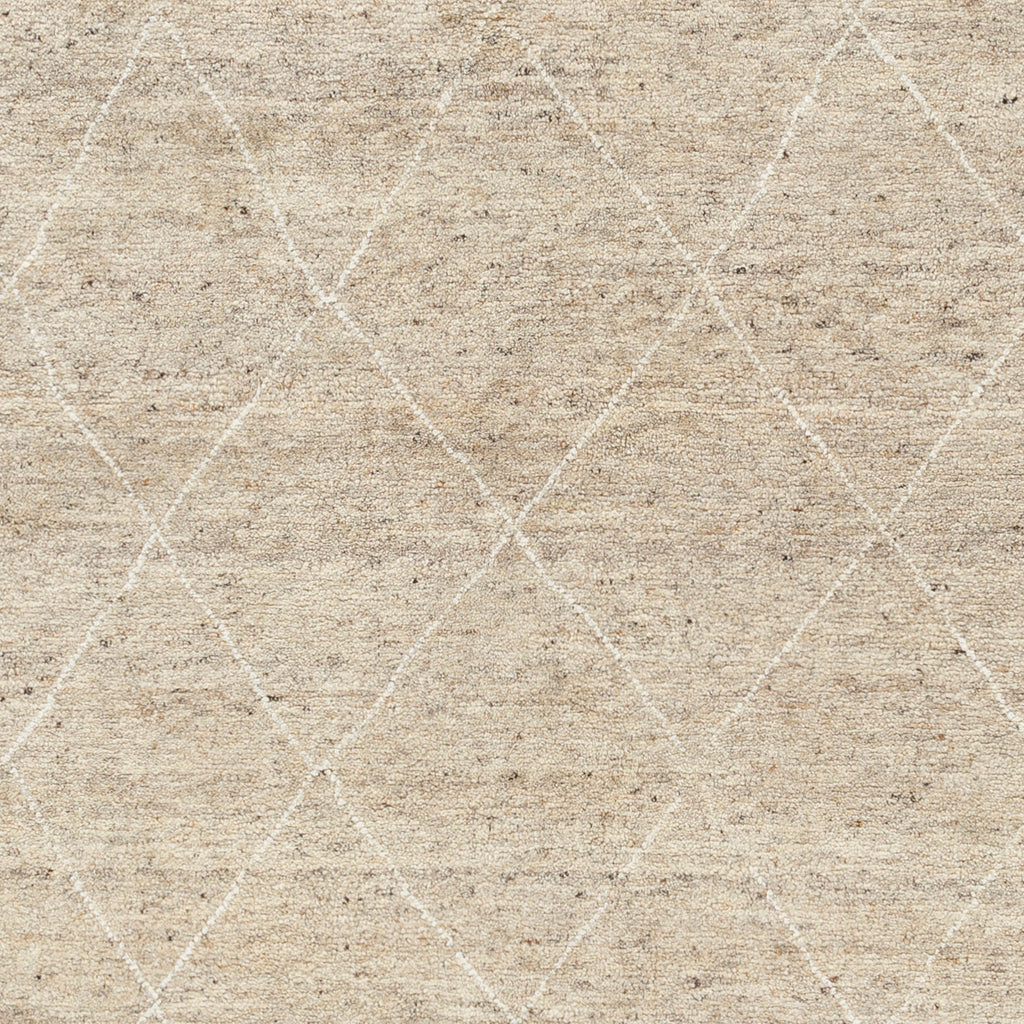 surya zara zar 2303 beige rug