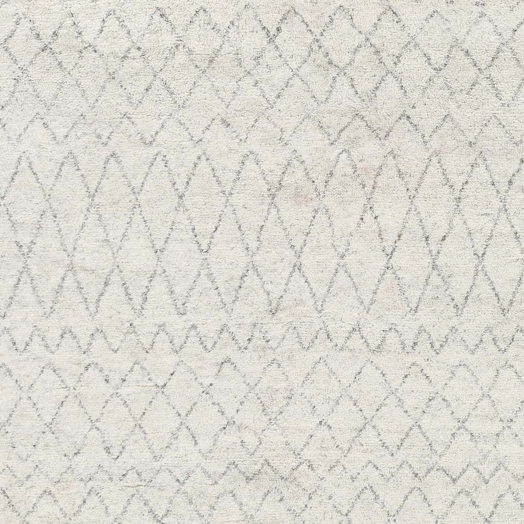 surya zara zar 2306 light gray rug