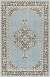 surya zahra zha 4050 aqua rug
