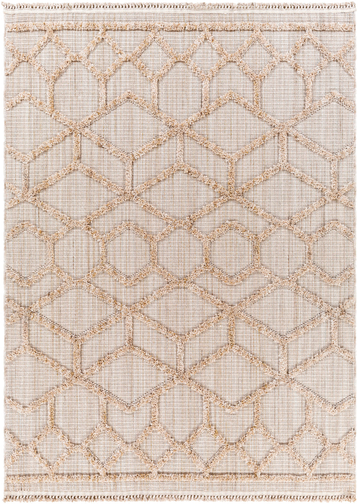 surya zaragoza zrz 2309 tan rug
