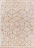 surya zaragoza zrz 2309 tan rug