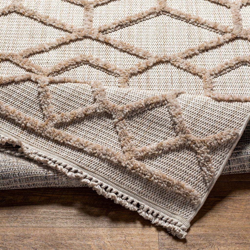 surya zaragoza zrz 2309 tan rug