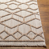 surya zaragoza zrz 2309 tan rug
