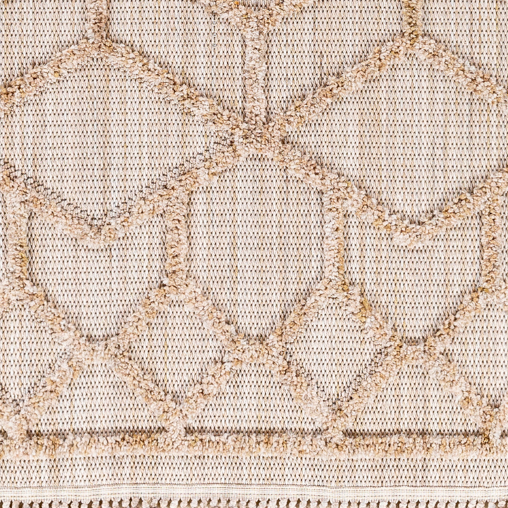 surya zaragoza zrz 2309 tan rug