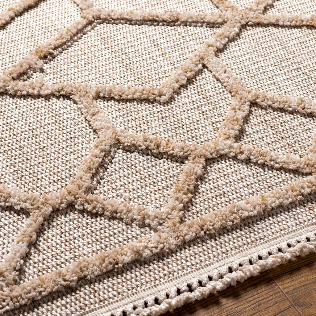 surya zaragoza zrz 2309 tan rug