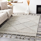 surya zanafi tassels zts 2306 medium gray rug
