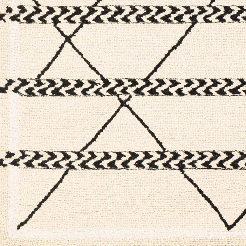 surya zanafi tassels zts 2311 cream rug